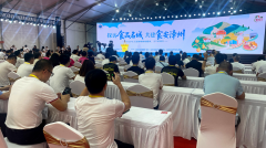 漳州市委网信办副